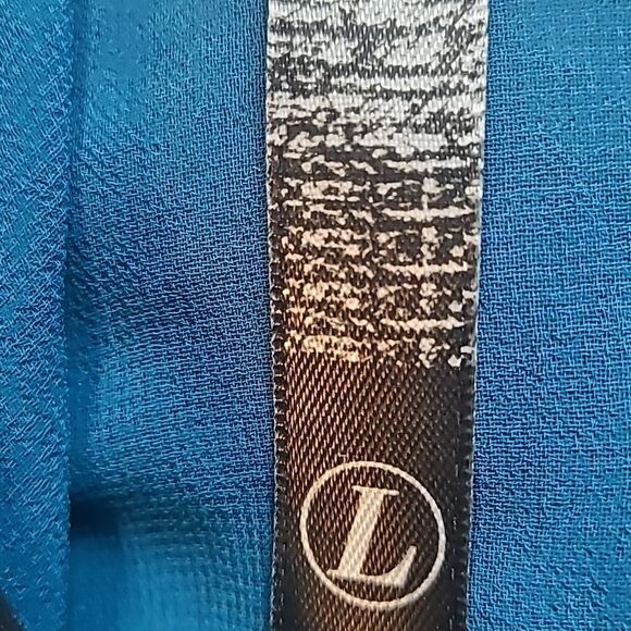 Kensie Sheer Dark Teal Buttondown Blouse with Black Beaded Collar, Size Large - Picture 8 of 9